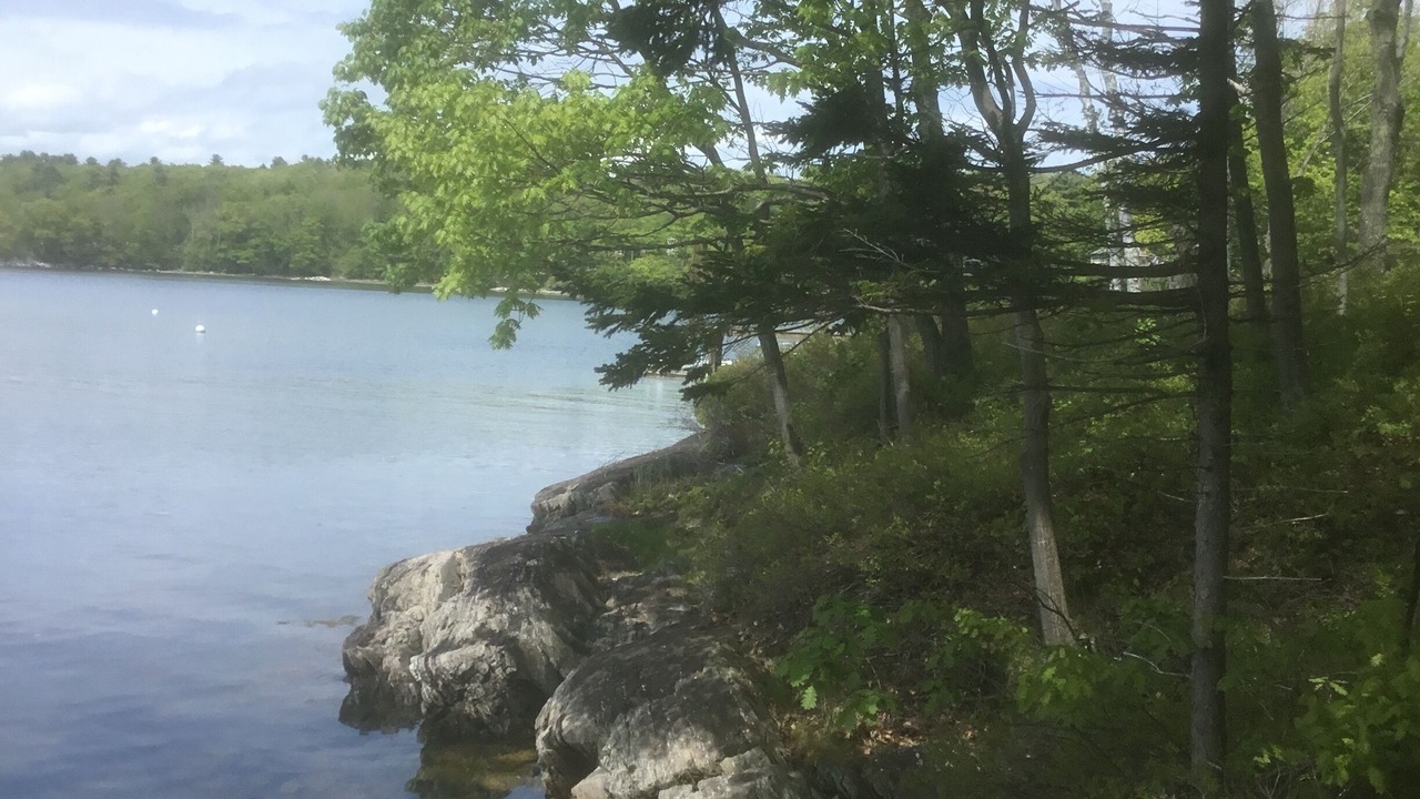 Photo of Others in Yarmouth