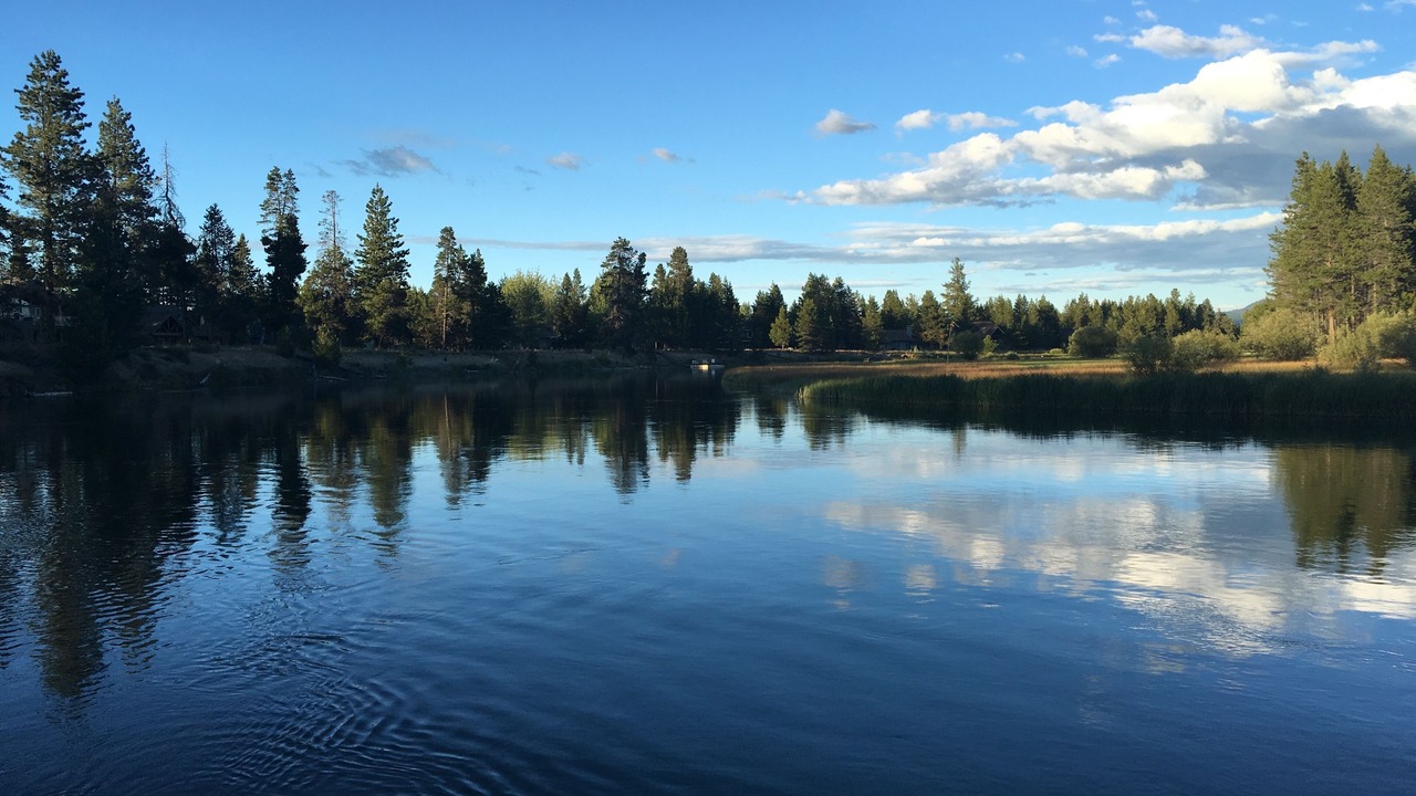 Photo of Others in Three Rivers