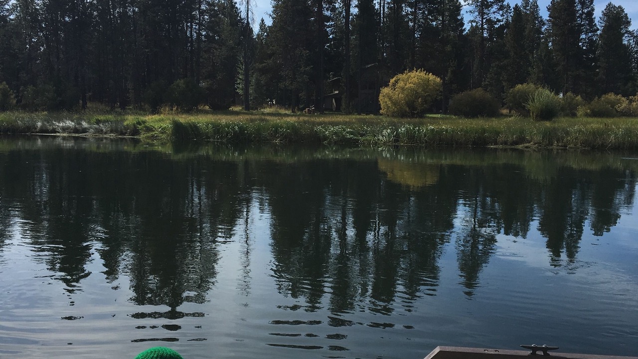 Photo of Others in Three Rivers