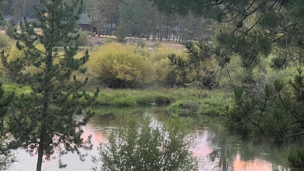 Photo of Others in Three Rivers