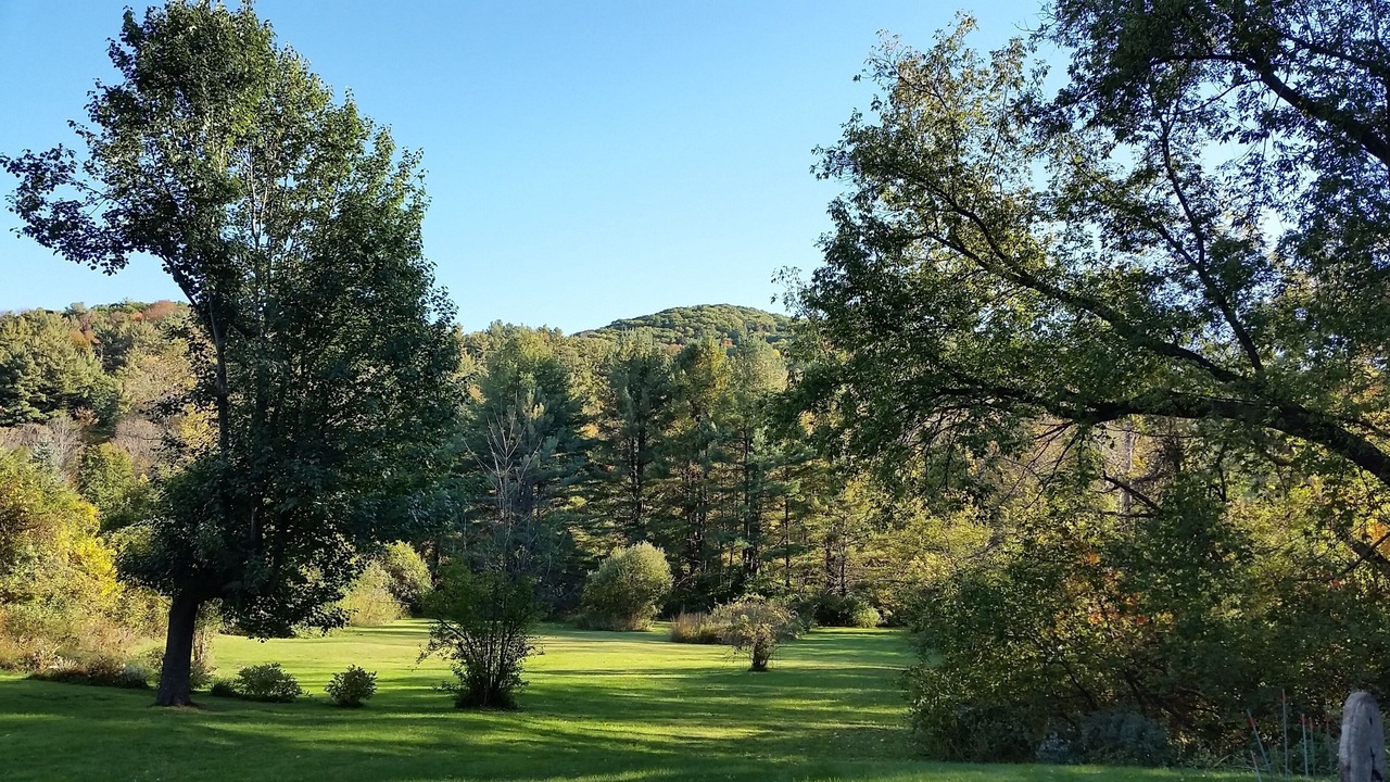 Photo of Others in Stockbridge