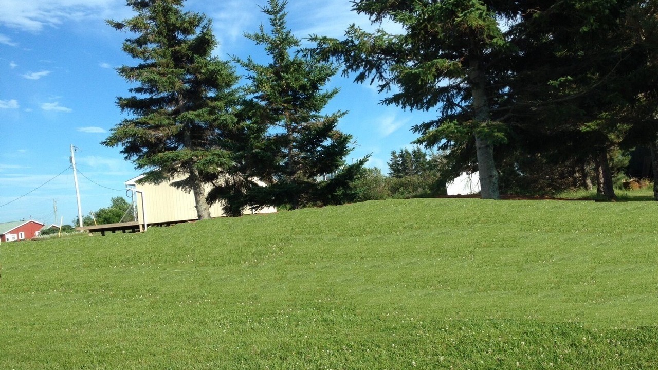 Photo of Others in Princetown