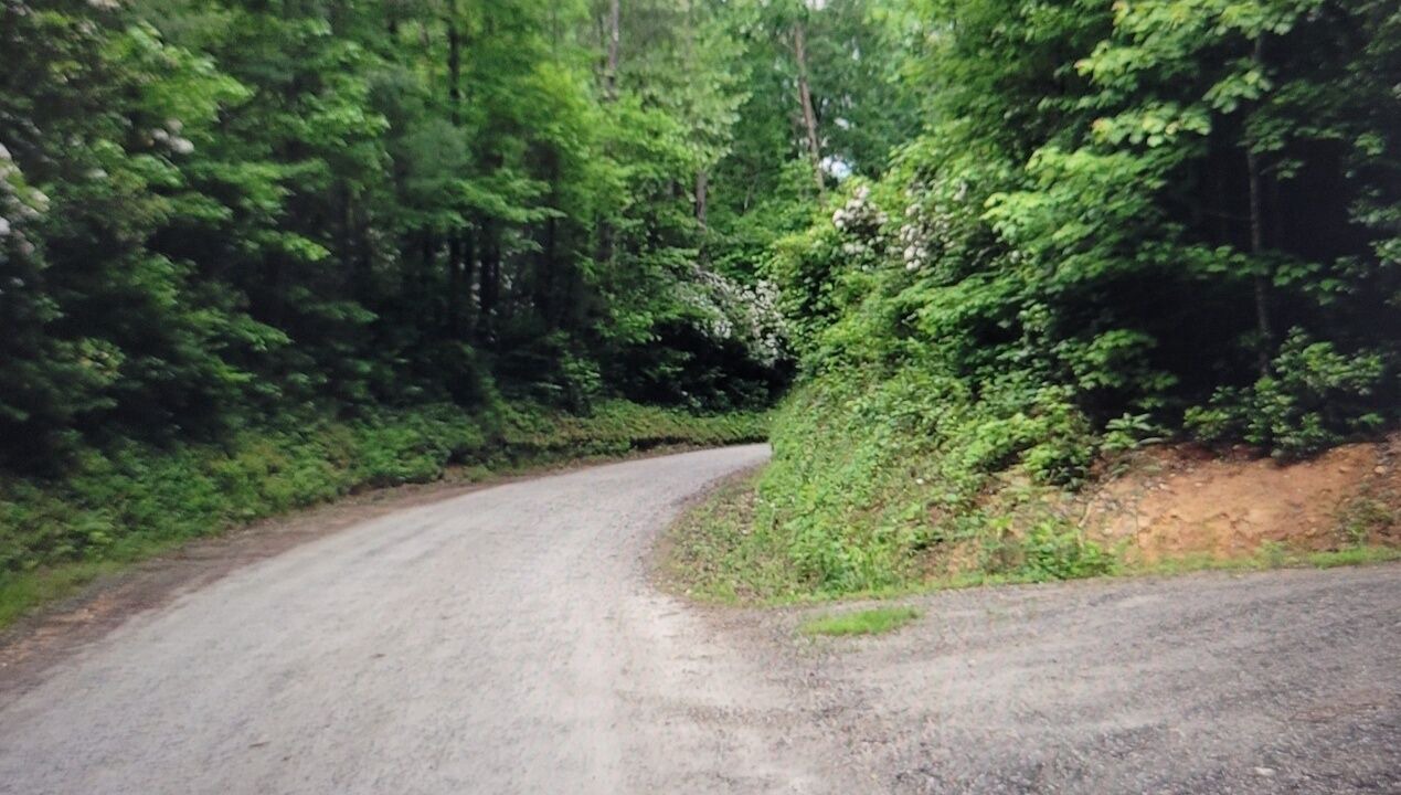 Photo of Outdoor in Sautee Nacoochee