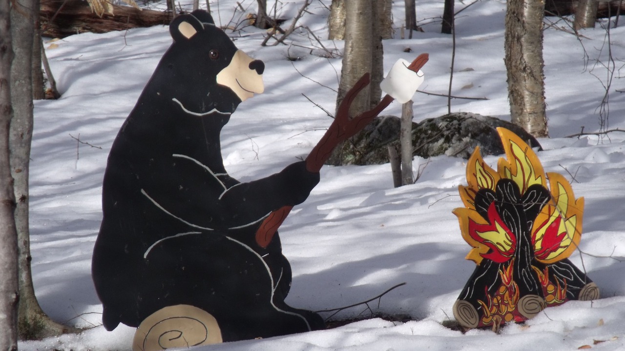 Photo of Others in Morris Run