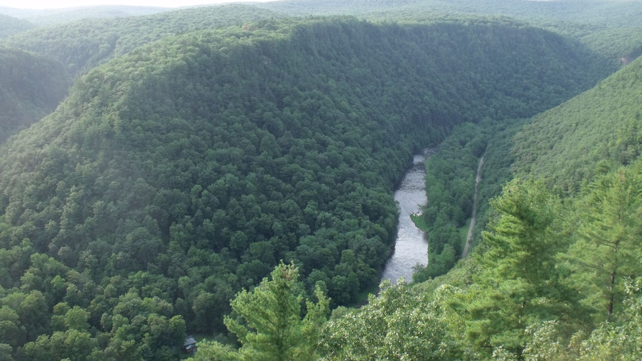 Photo of Others in Morris Run