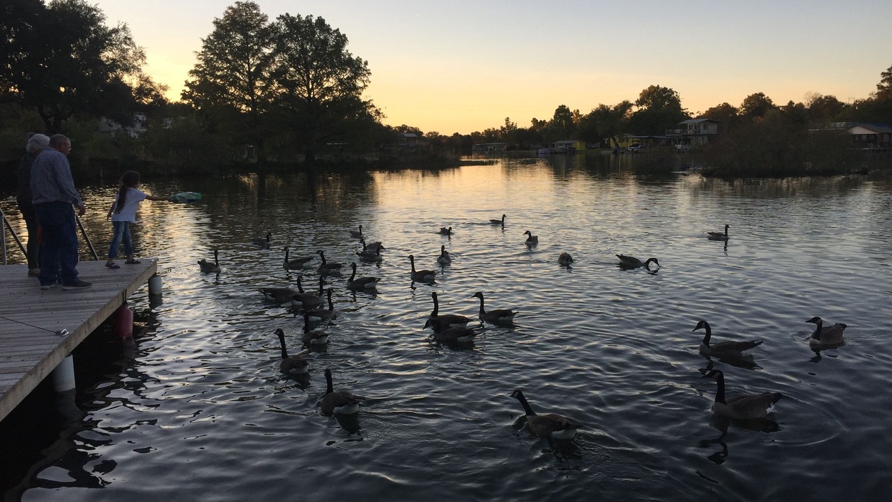 Photo of Others in Kingsland