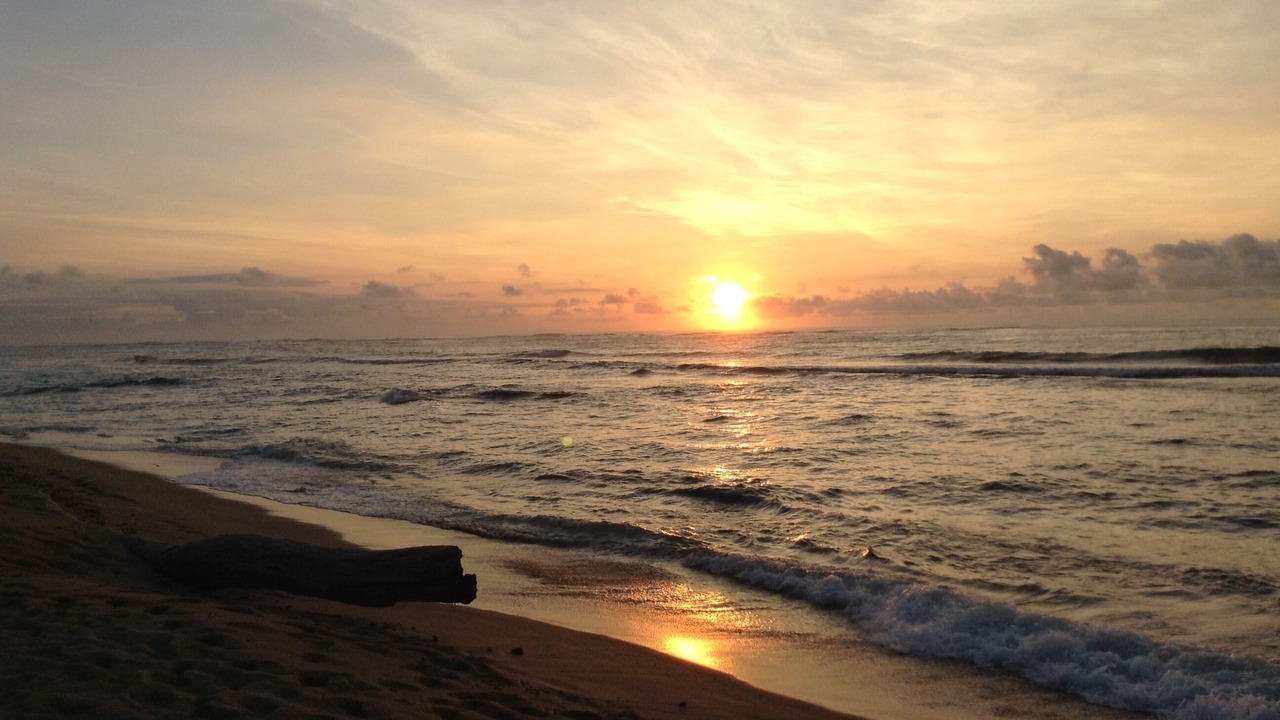 Photo of Others in Wailua