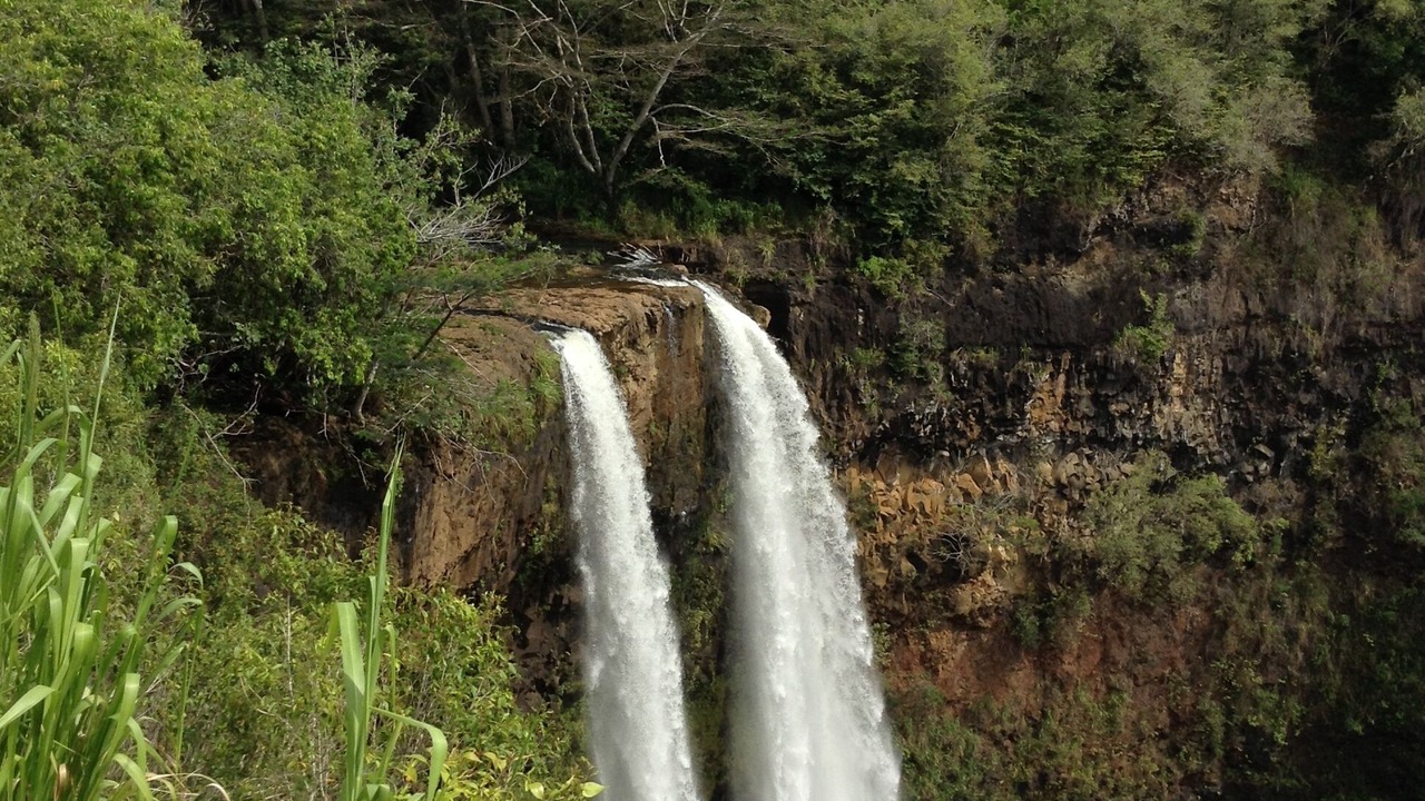 Photo of Outdoor in Wailua