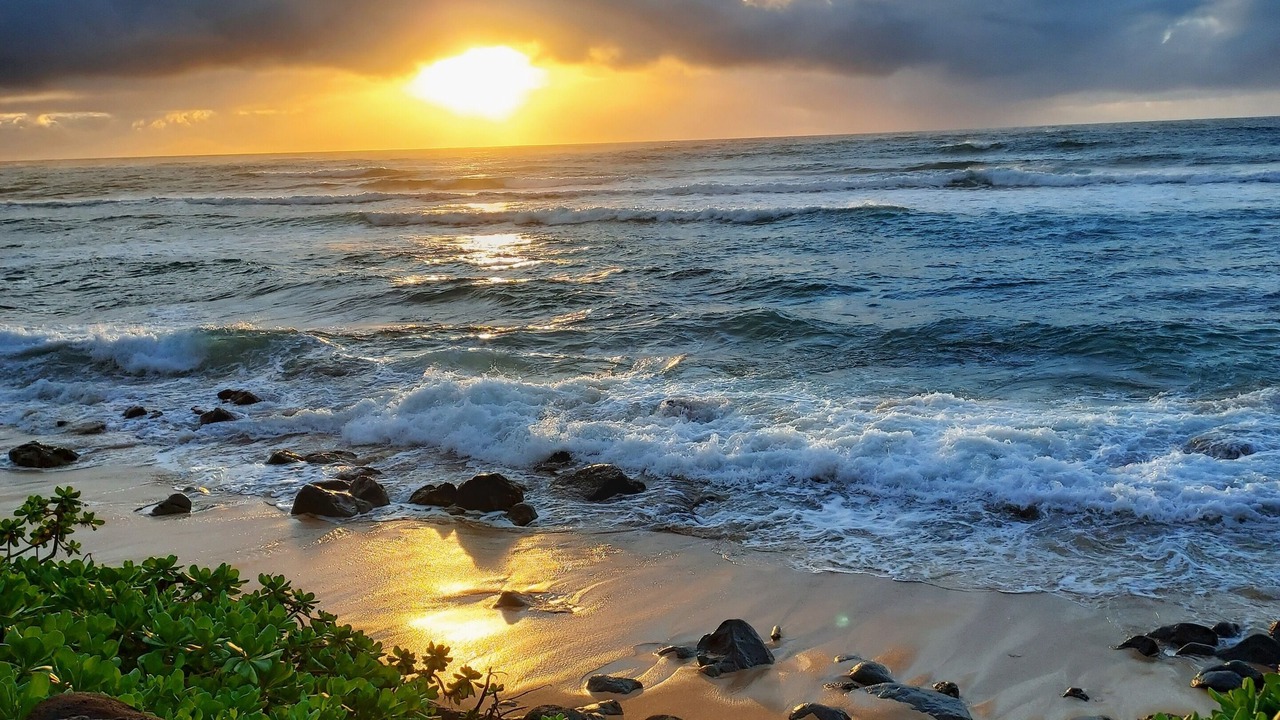 Photo of Others in Wailua