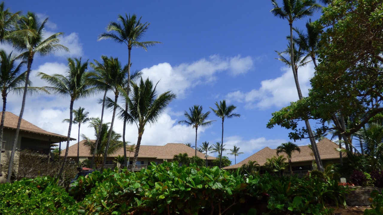 Photo of Outdoor in Wailua
