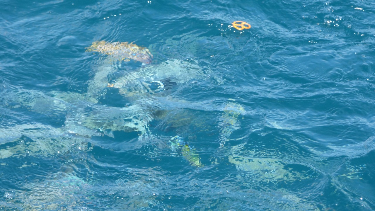 Photo of Outdoor in Wailua