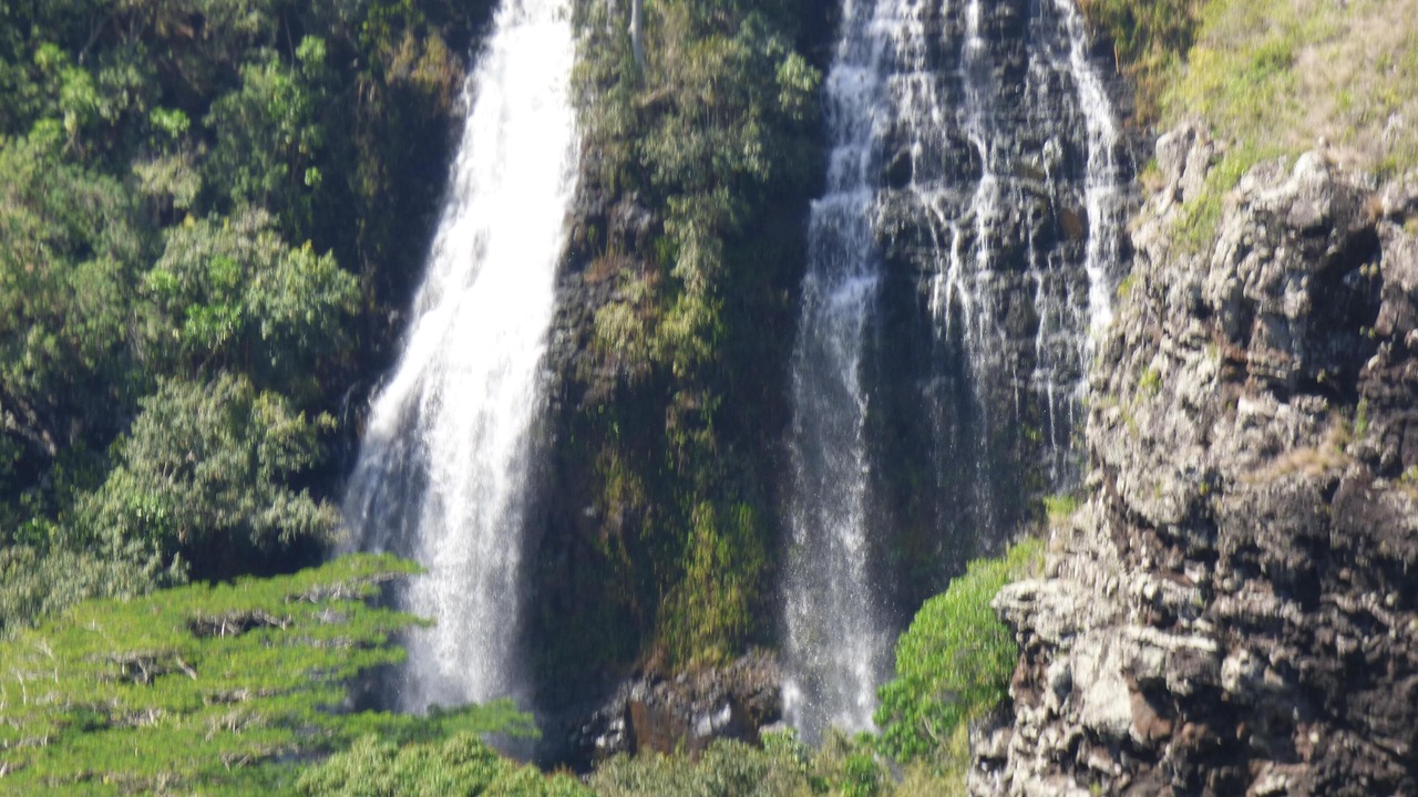 Photo of Outdoor in Wailua