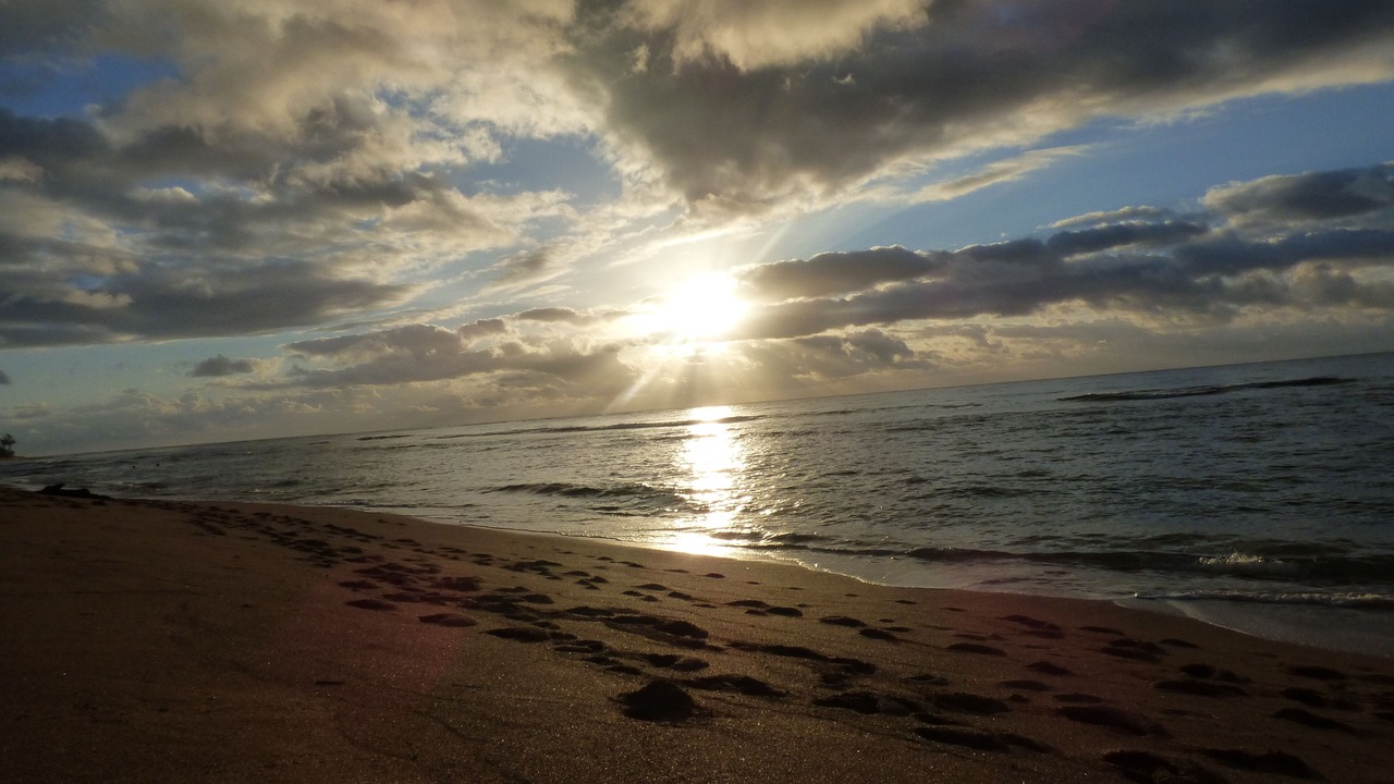 Photo of Others in Wailua