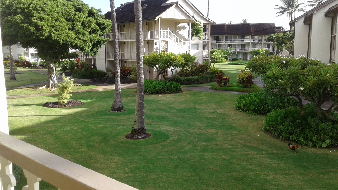 Photo of Outdoor in Wailua