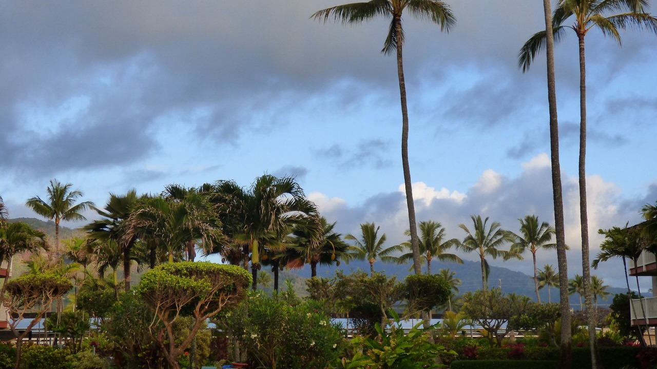 Photo of Outdoor in Wailua