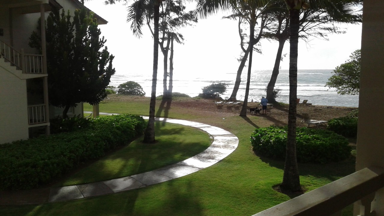 Photo of Outdoor in Wailua