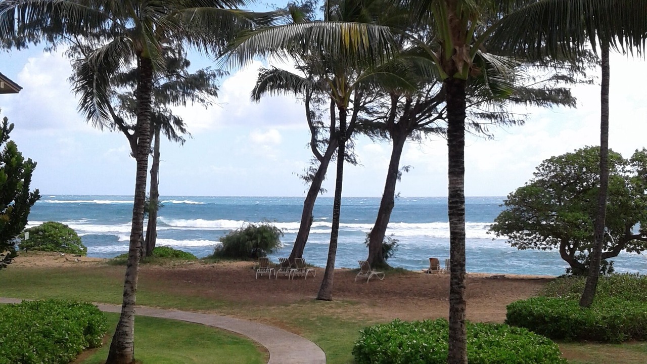 Photo of Outdoor in Wailua