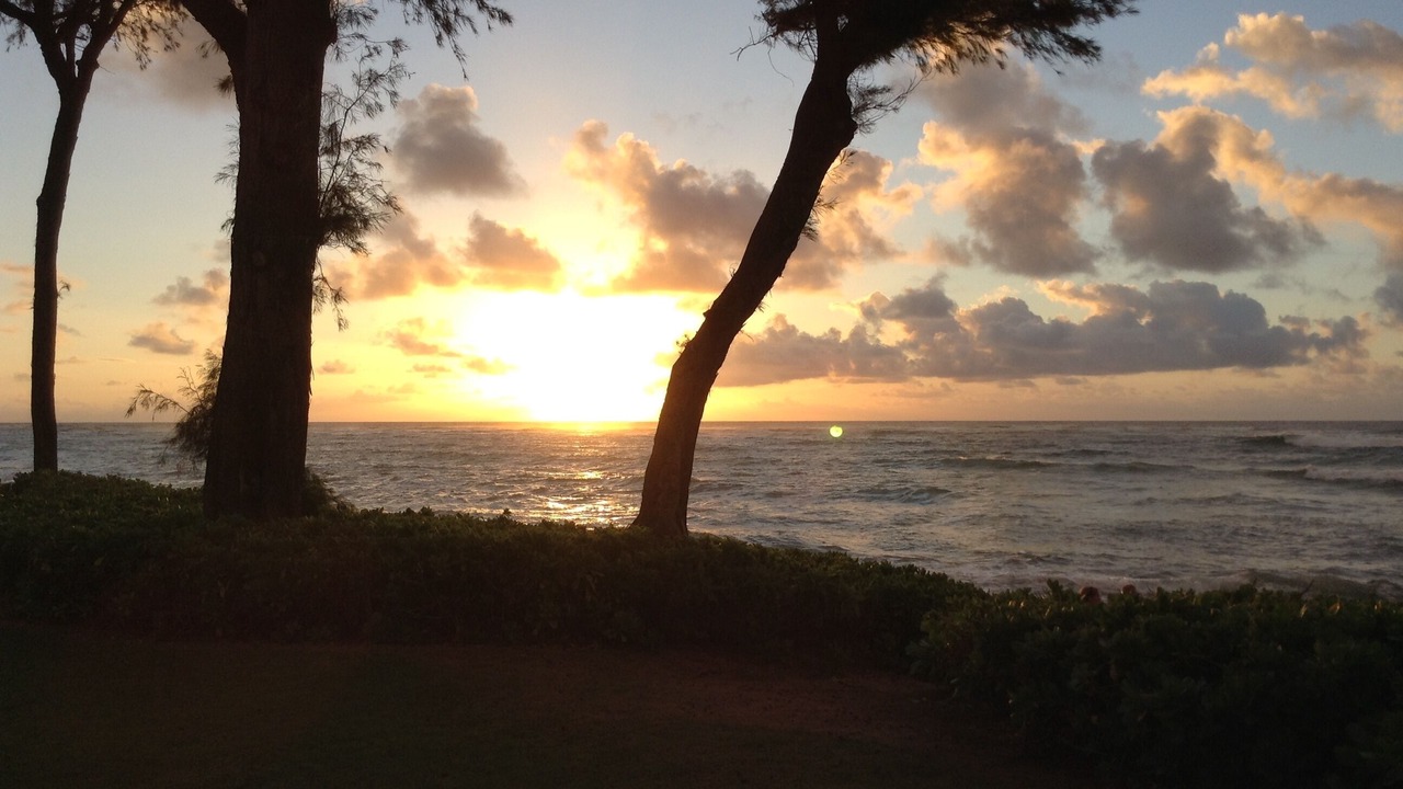 Photo of Others in Wailua