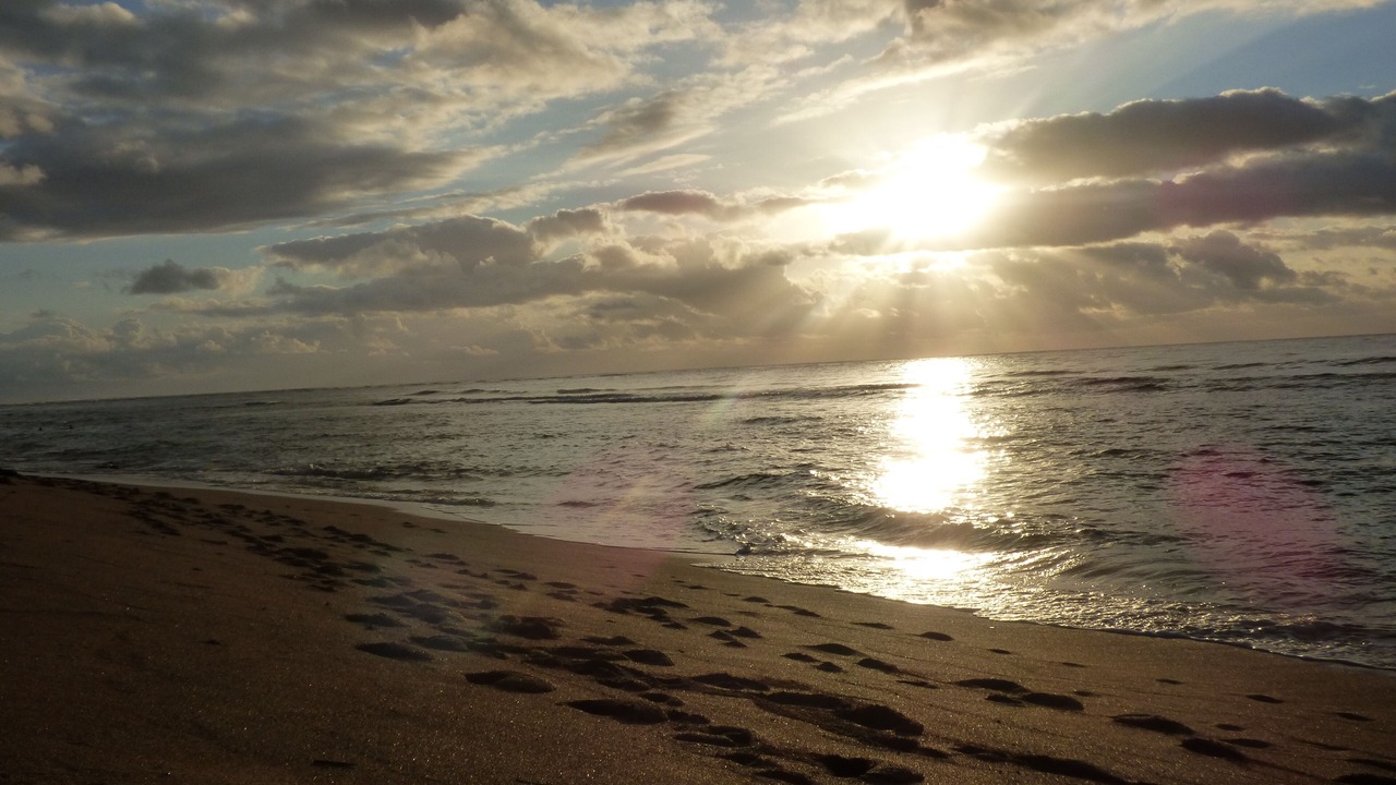 Photo of Others in Wailua