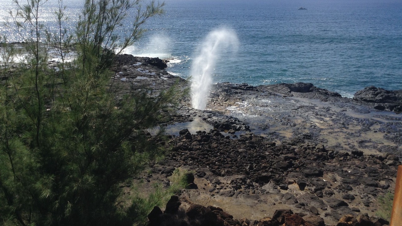 Photo of Others in Wailua