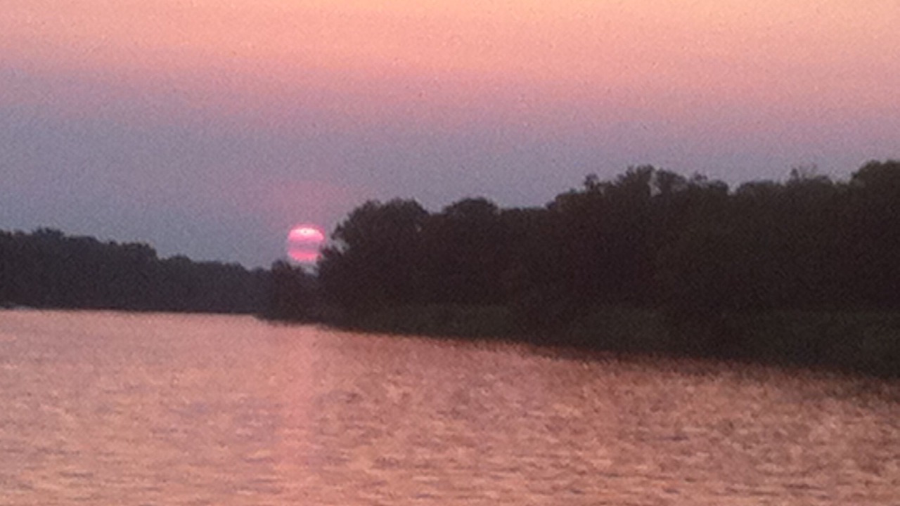 Photo of Others in Rio Vista