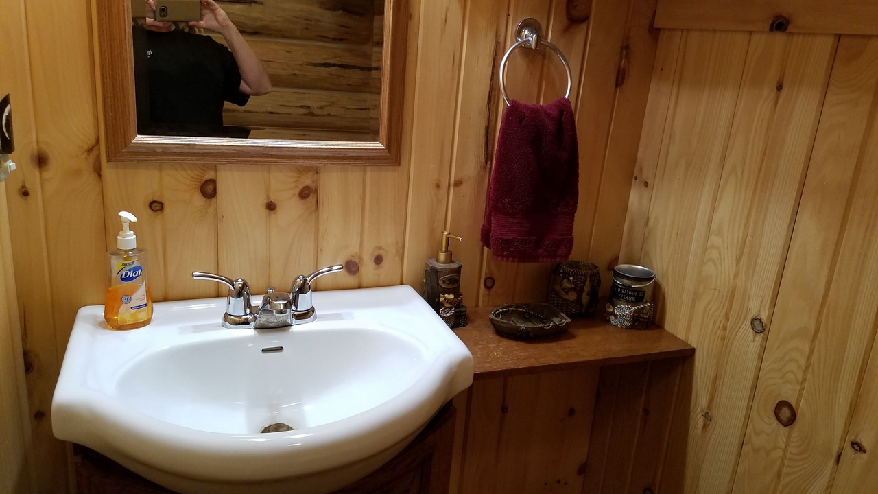 Photo of Bathroom in Lake