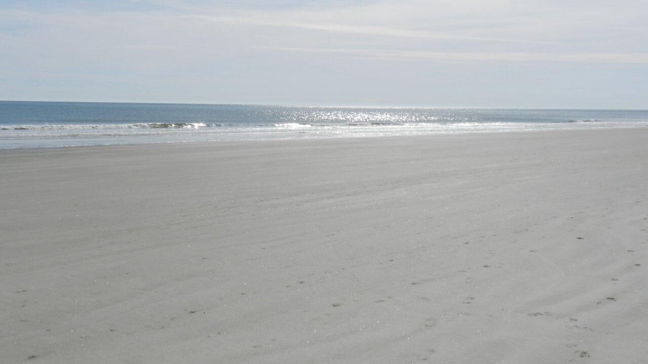 Photo of Others in Palmetto Dunes