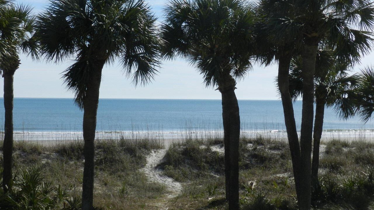 Photo of Others in Palmetto Dunes