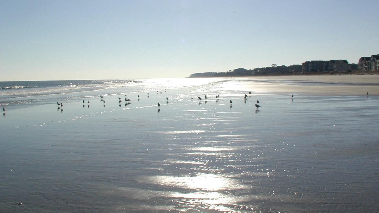 Photo of Others in Palmetto Dunes