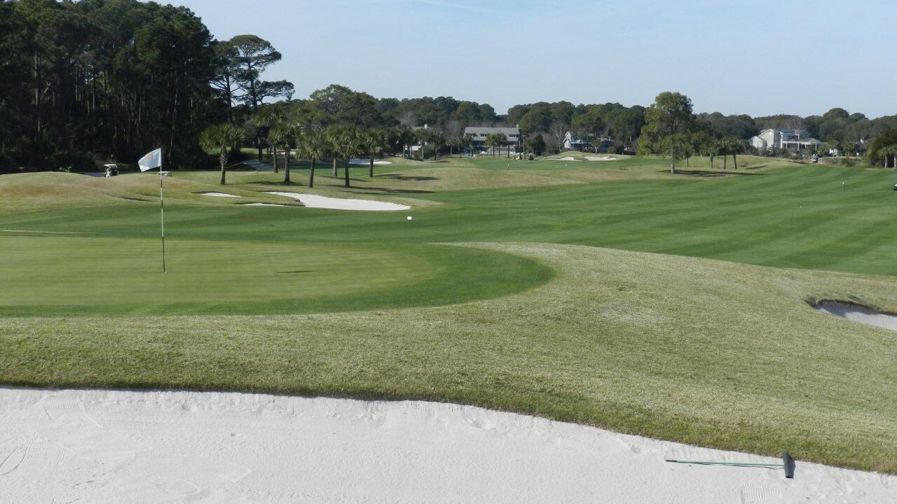 Photo of Others in Palmetto Dunes