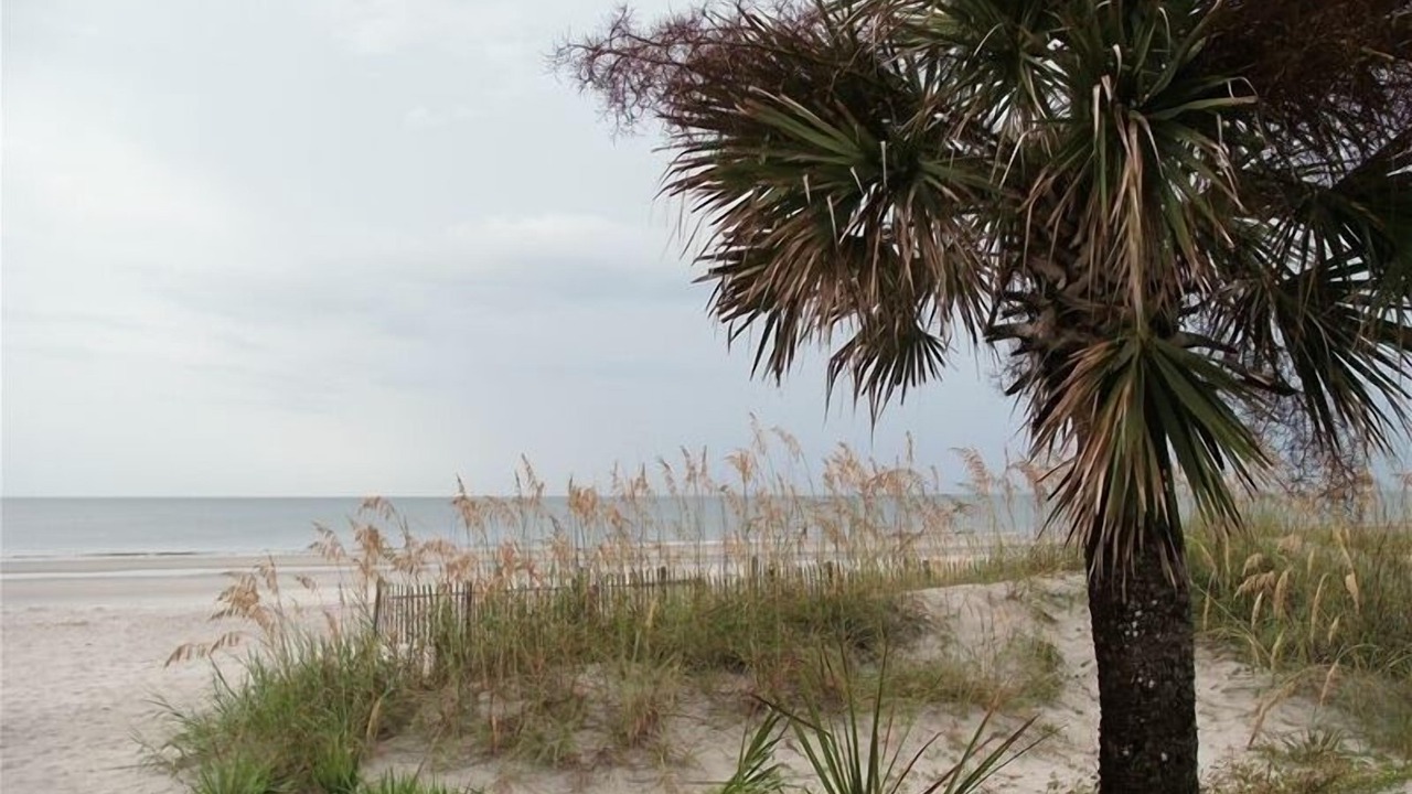 Photo of Others in Palmetto Dunes