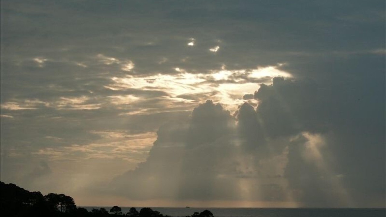Photo of Others in Palmetto Dunes