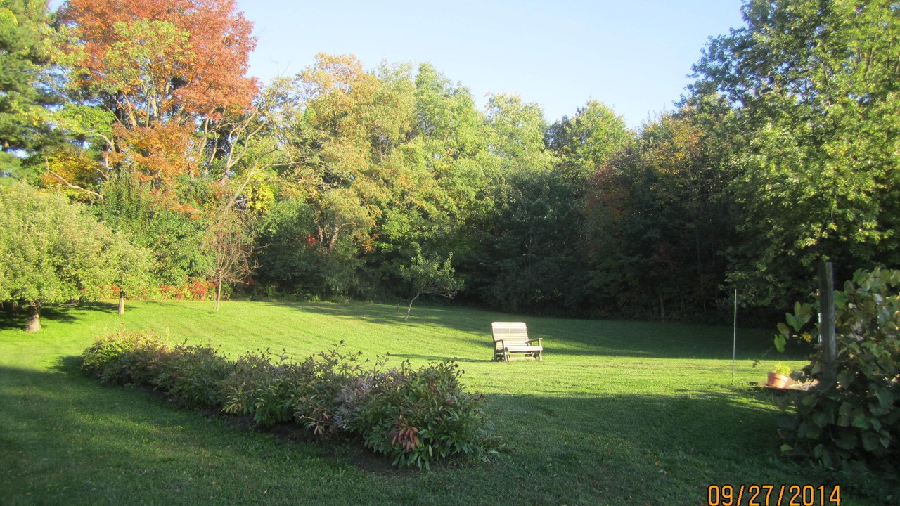 Photo of Others in Ithaca