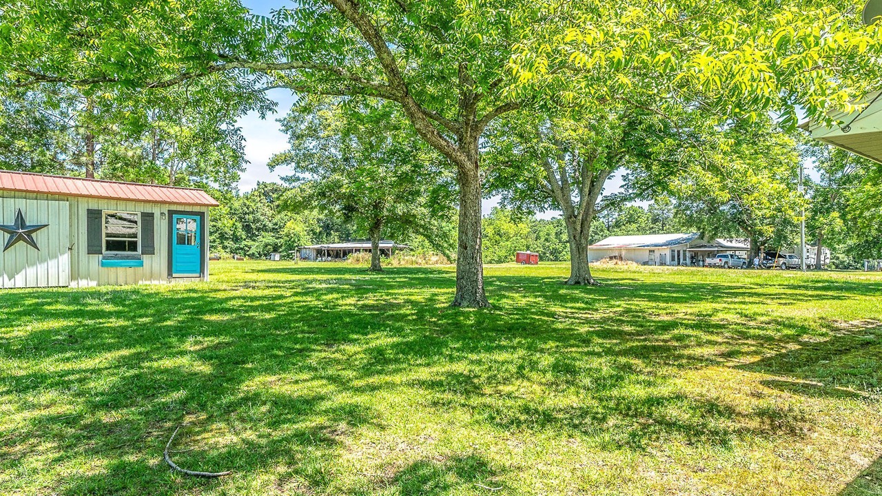 Photo of Outdoor in Laurel Hill