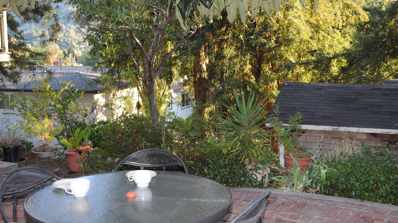 Photo of Others in Greenbrae