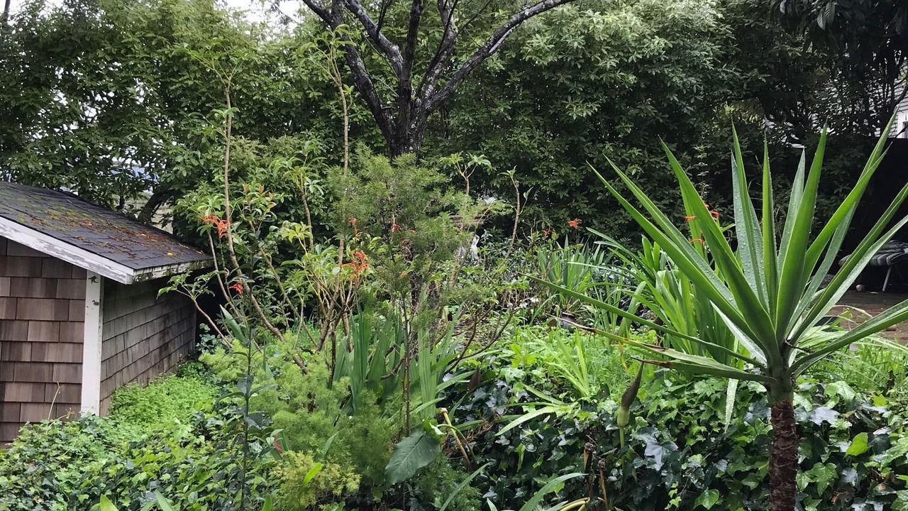 Photo of Others in Greenbrae