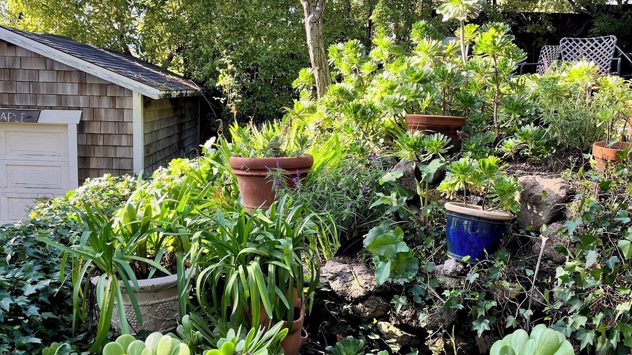 Photo of Outdoor in Greenbrae