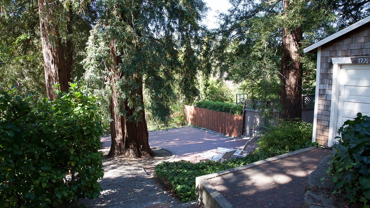 Photo of Others in Greenbrae