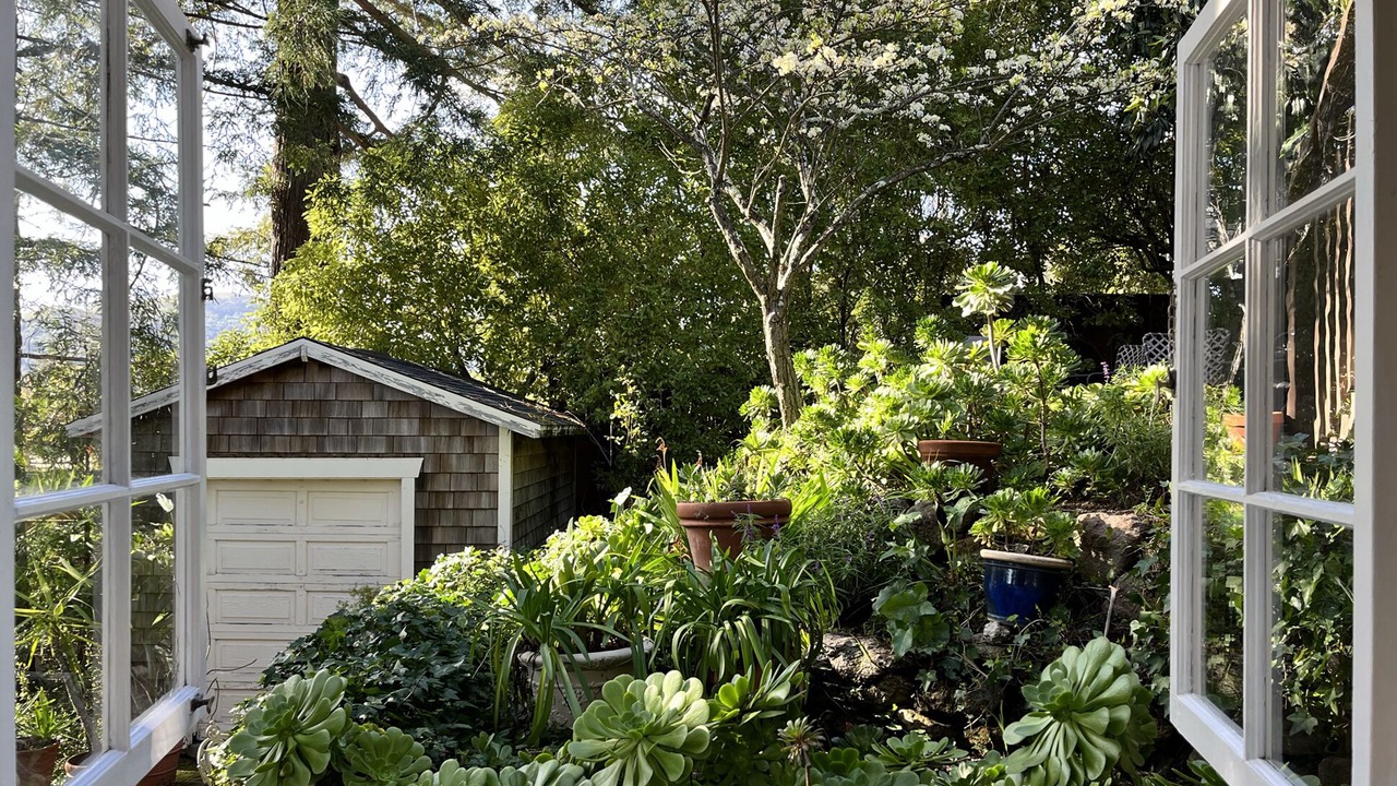 Photo of Outdoor in Greenbrae