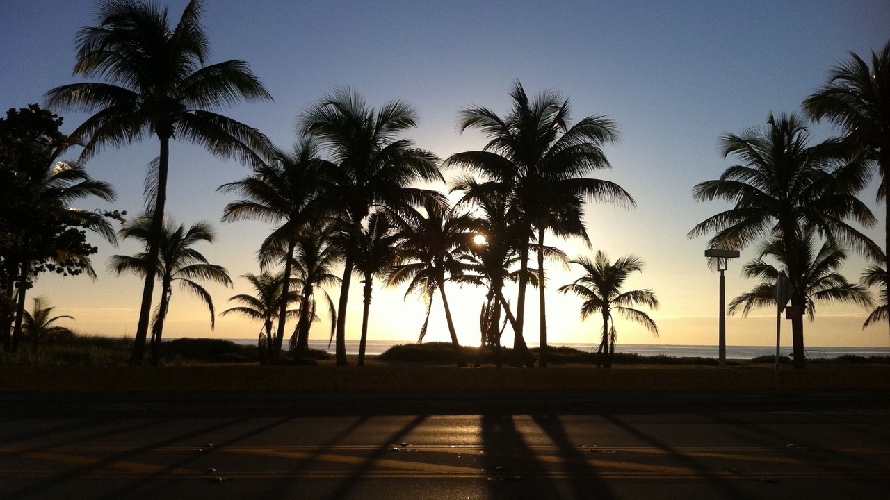 Photo of Others in Pompano Beach
