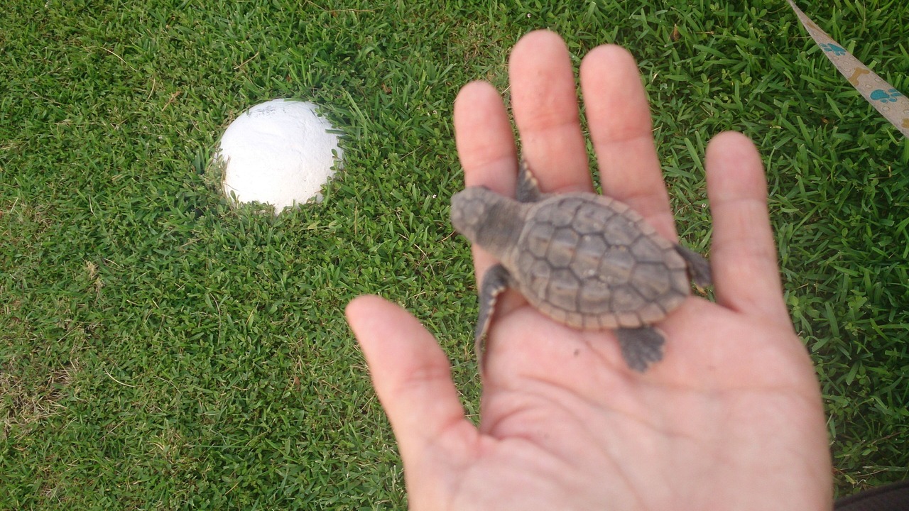 Photo of Others in Pompano Beach