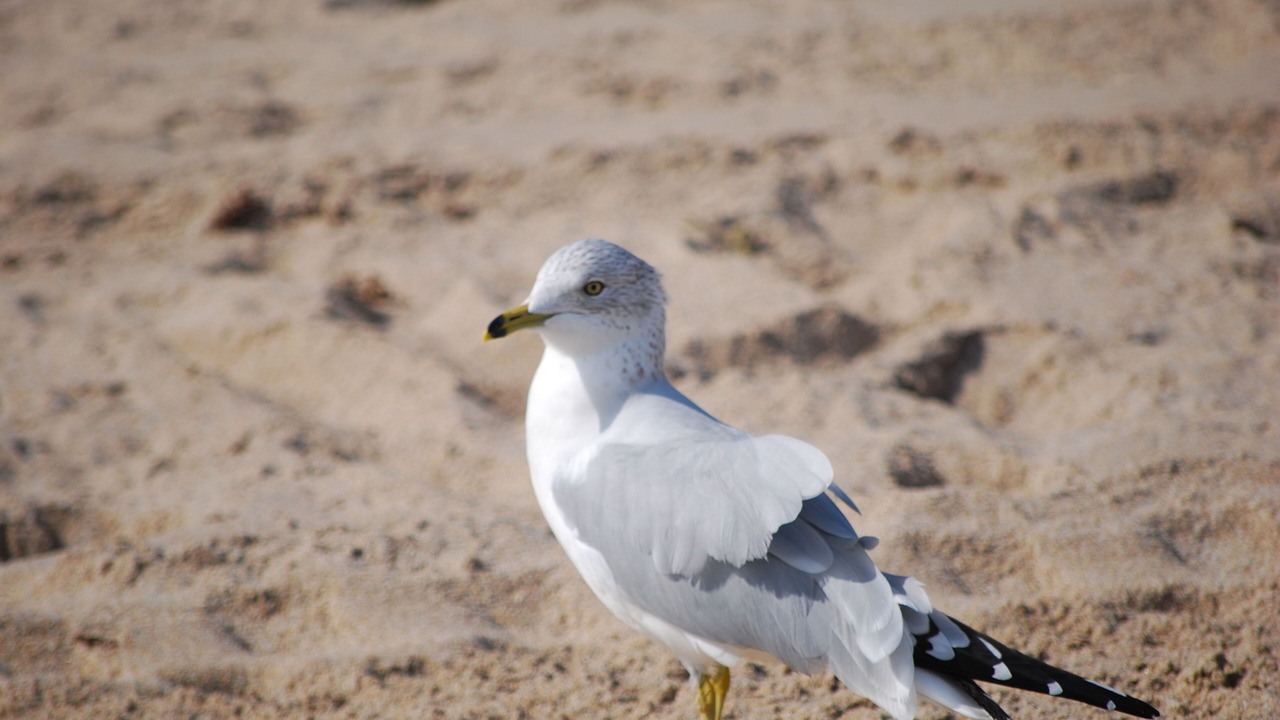 Photo of Others in Pompano Beach