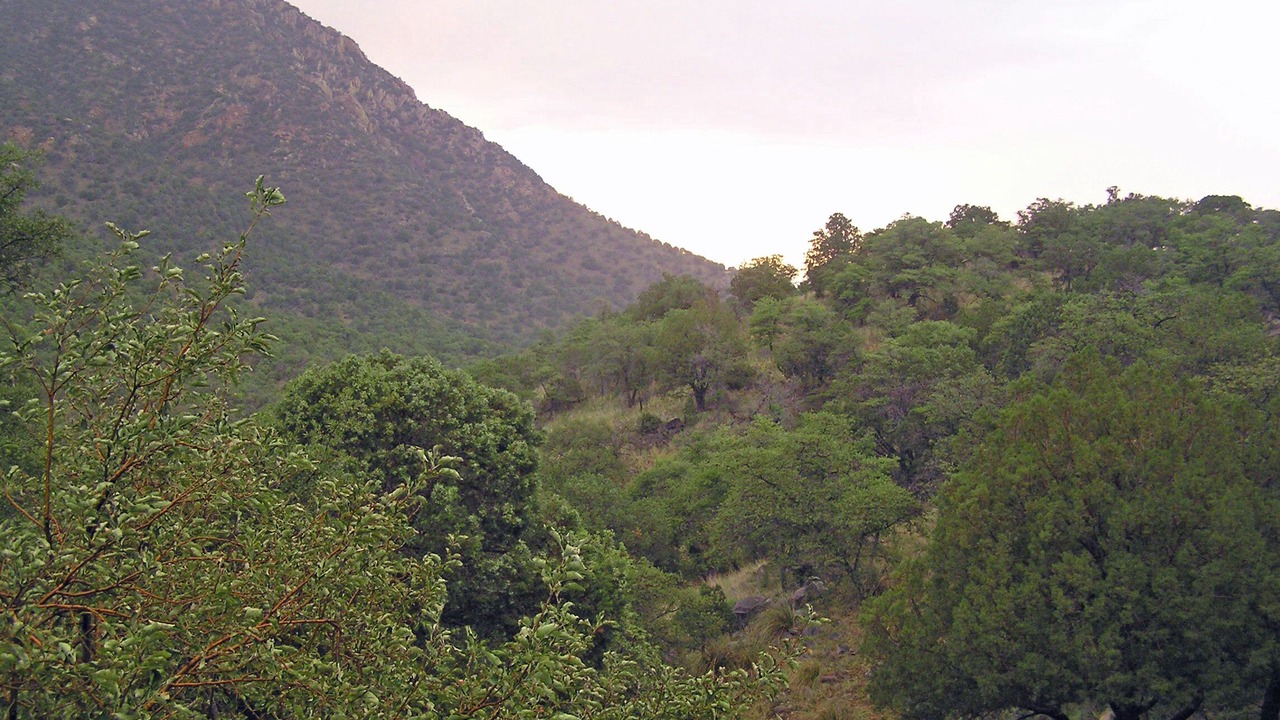 Photo of Outdoor in Sonoita