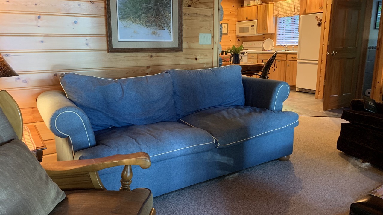Photo of Livingroom in Manitowish Waters
