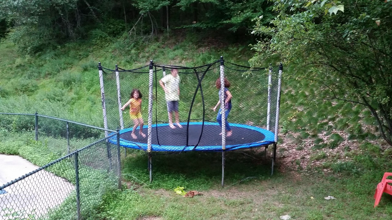 Photo of Others in Chester