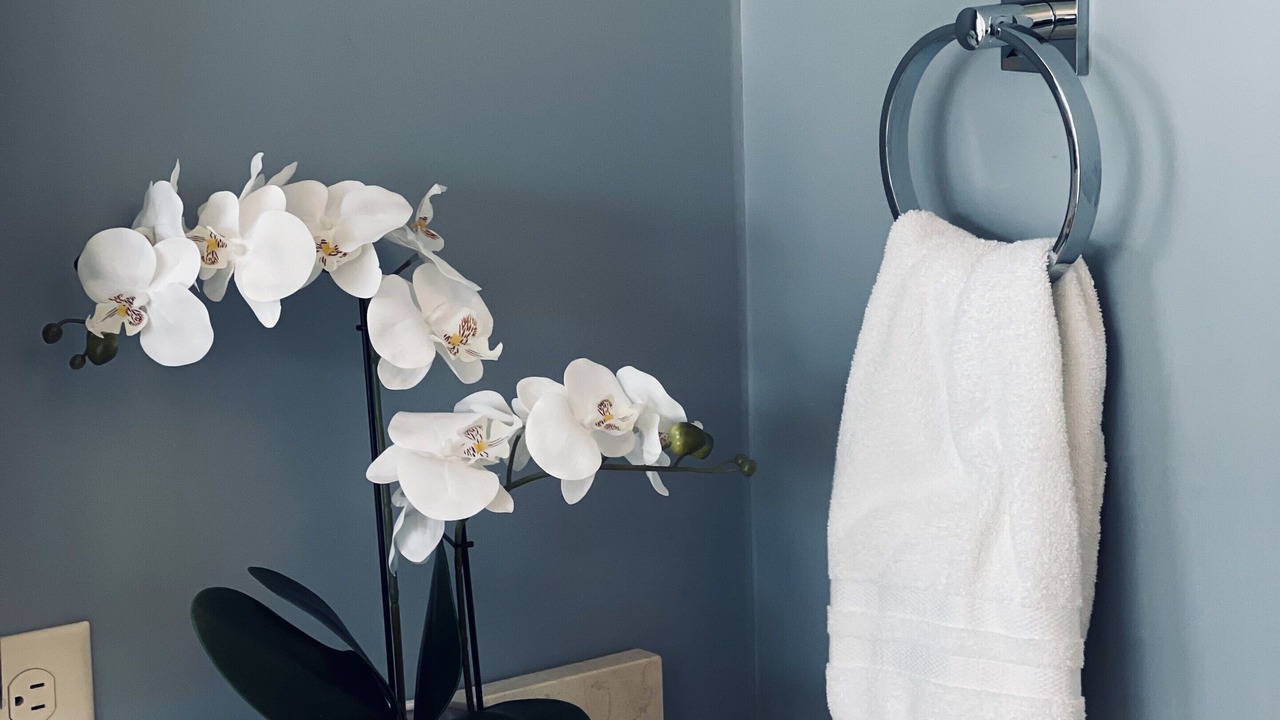 Photo of Bedroom in Spring Lake