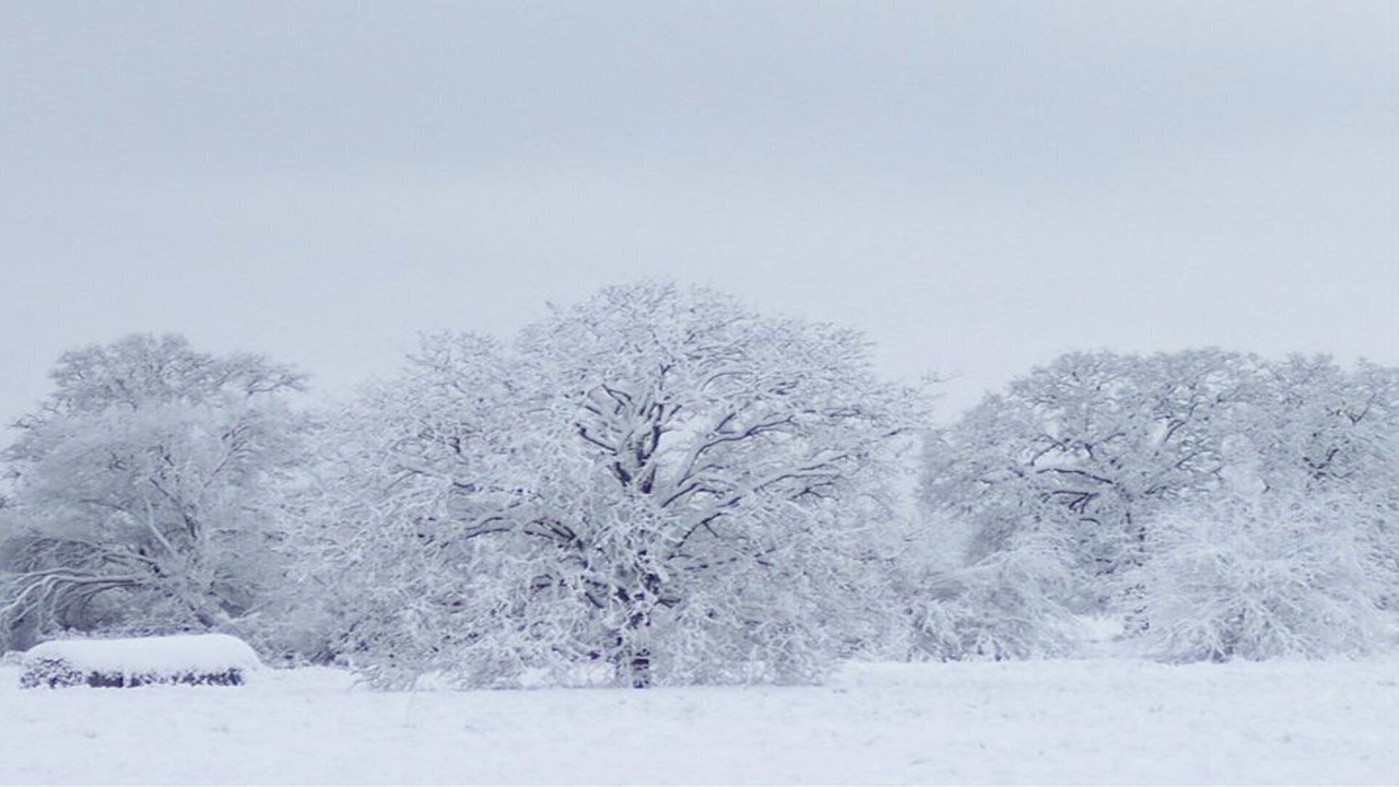 Photo of Others in Van Zandt County