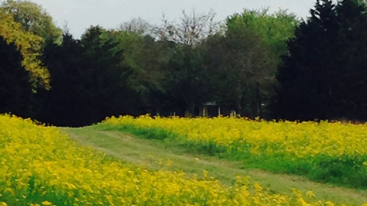 Photo of Others in Van Zandt County