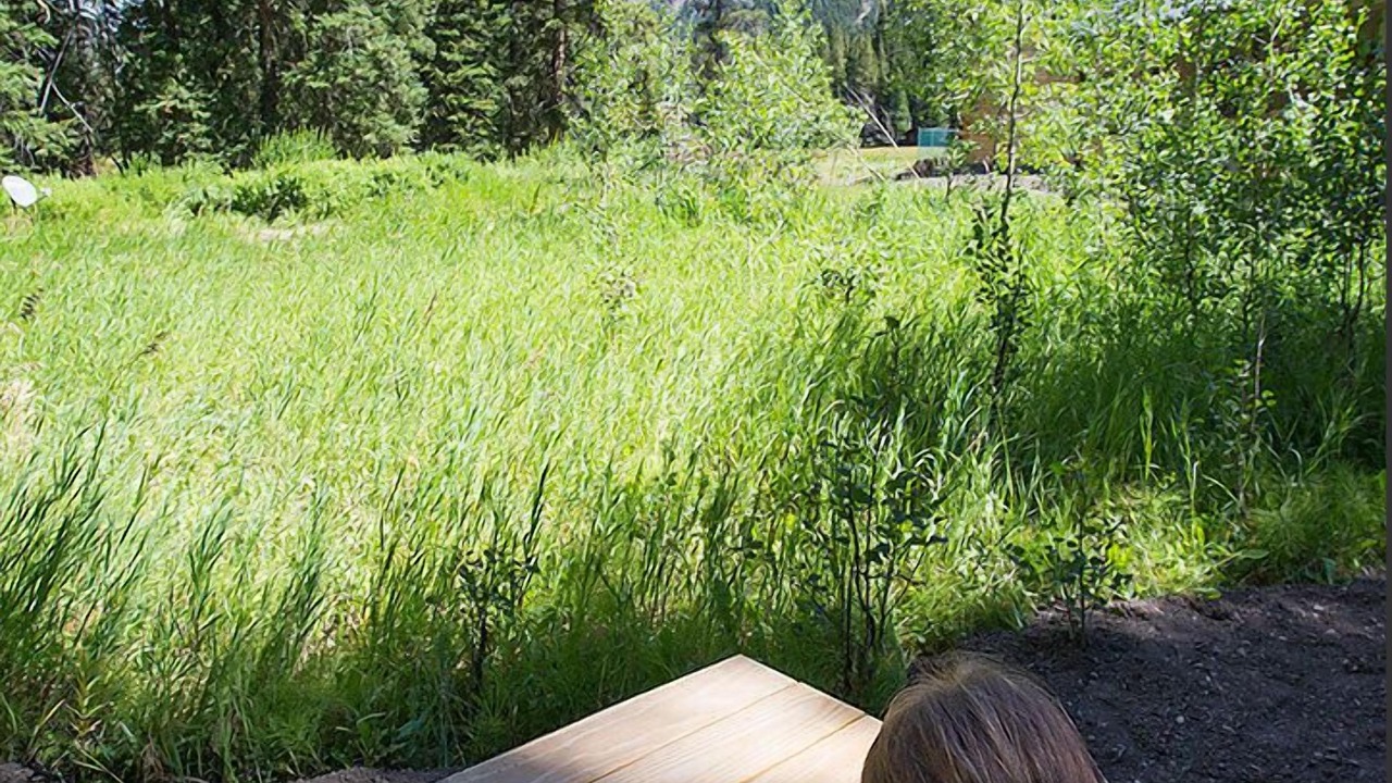 Photo of Outdoor in Cooke City-Silver Gate