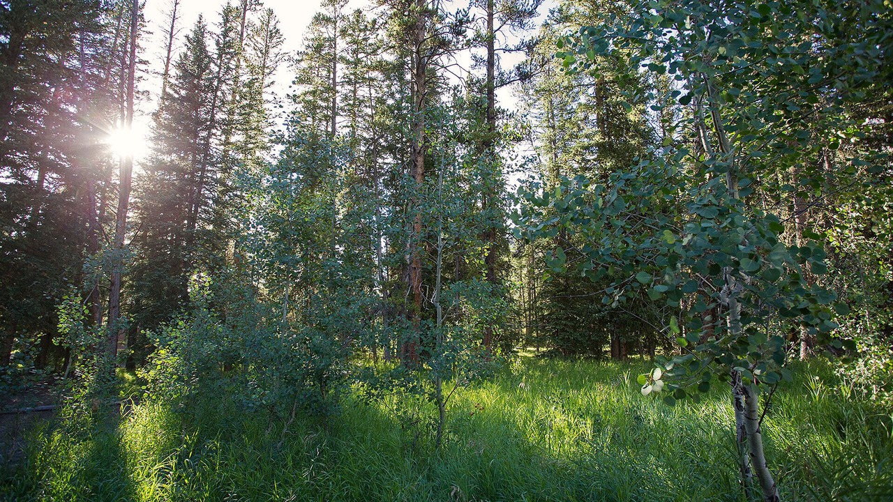 Photo of Others in Cooke City-Silver Gate